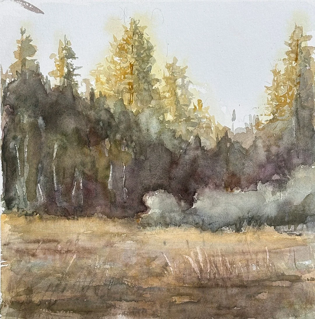Camping and my digital disconnect