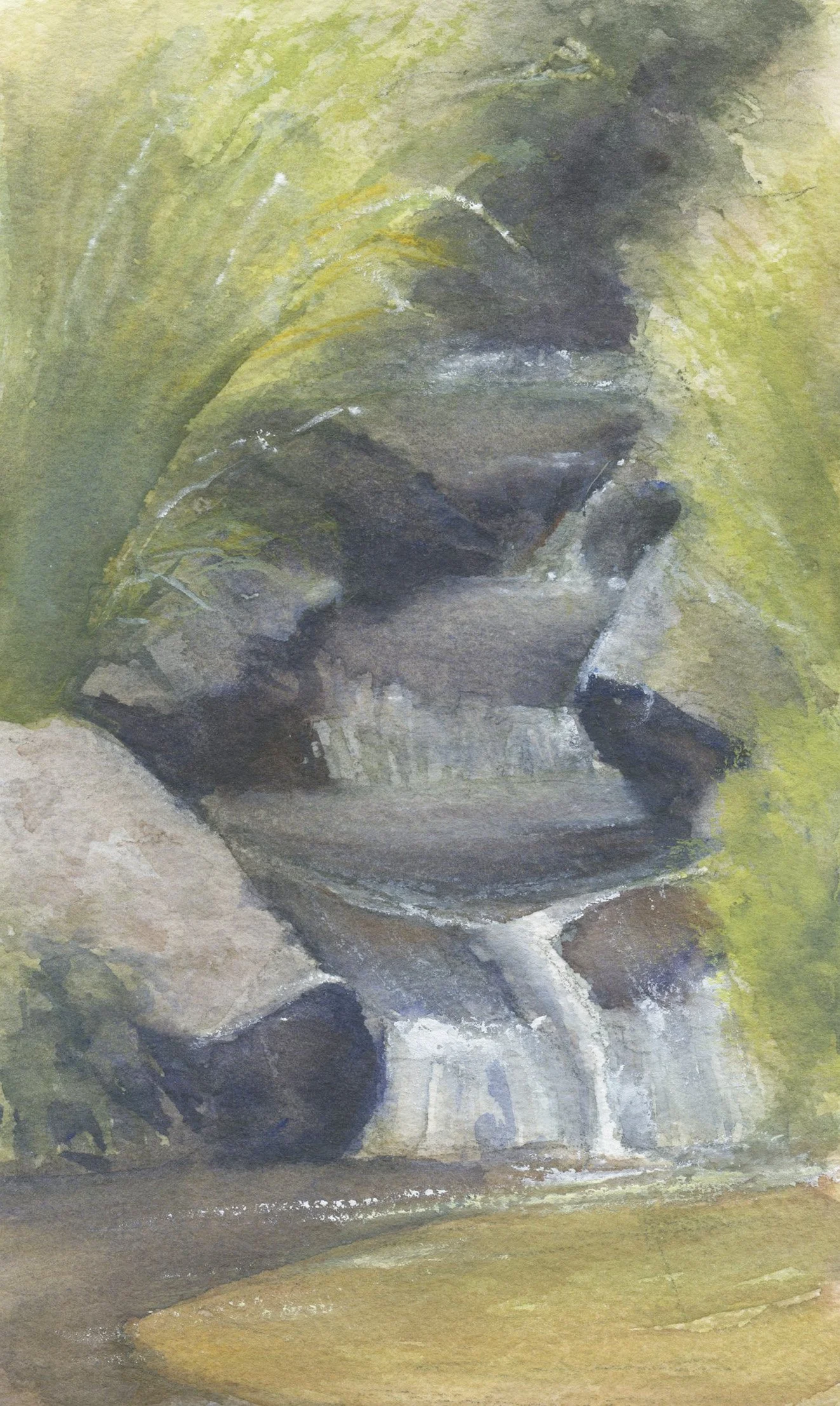 Spring Ephemeral Falls