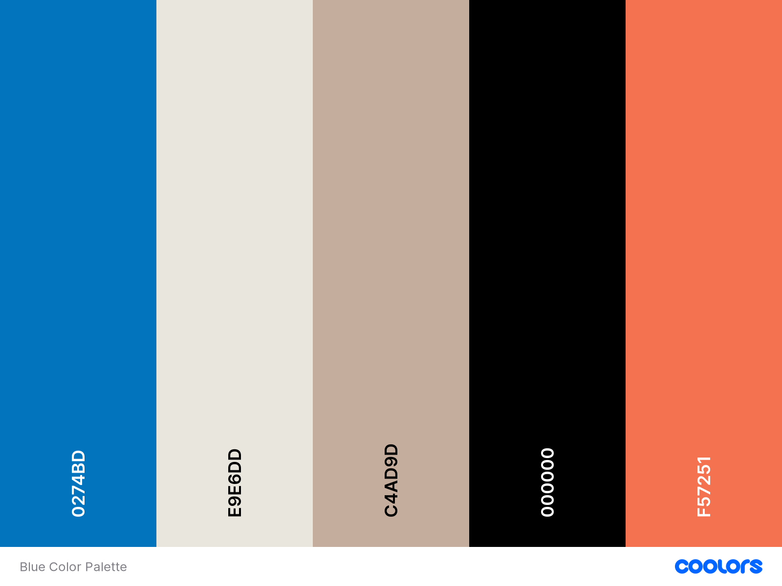 Coolors Color Palette