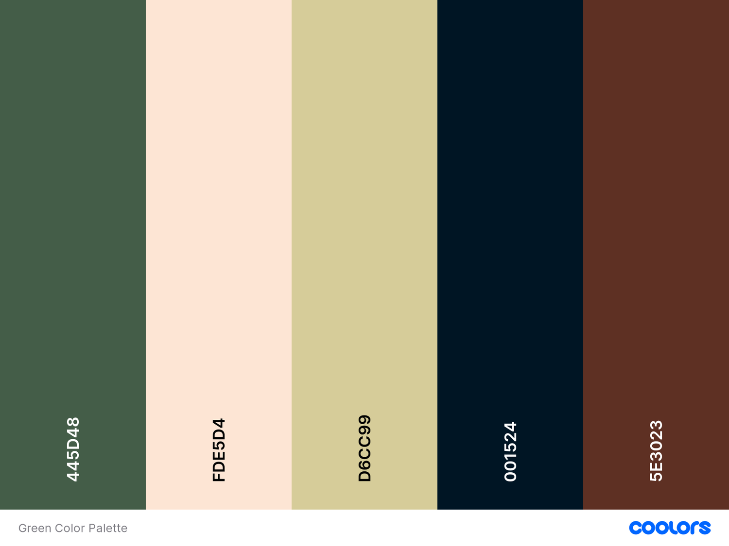 10 Aesthetic Color Palettes For Service Providers