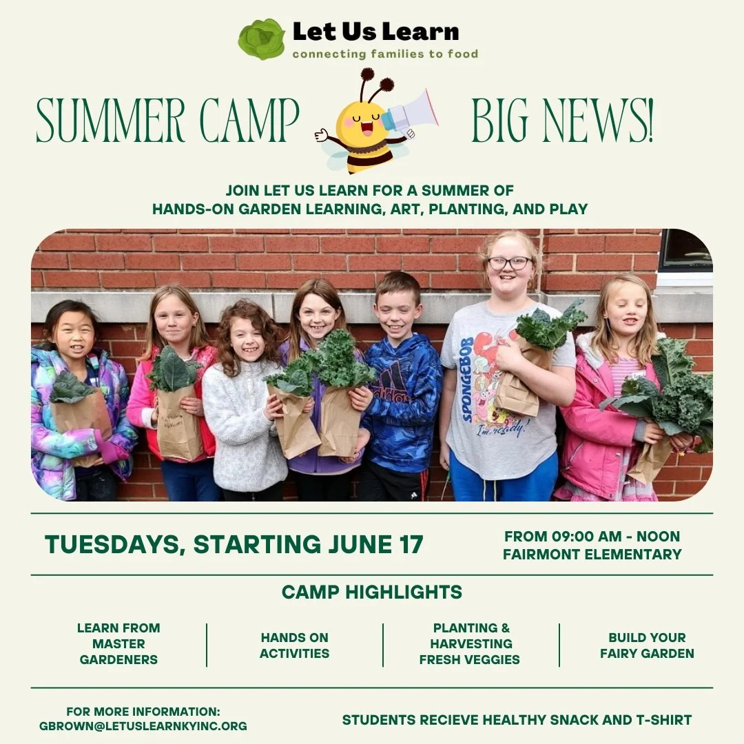 Summer Camp