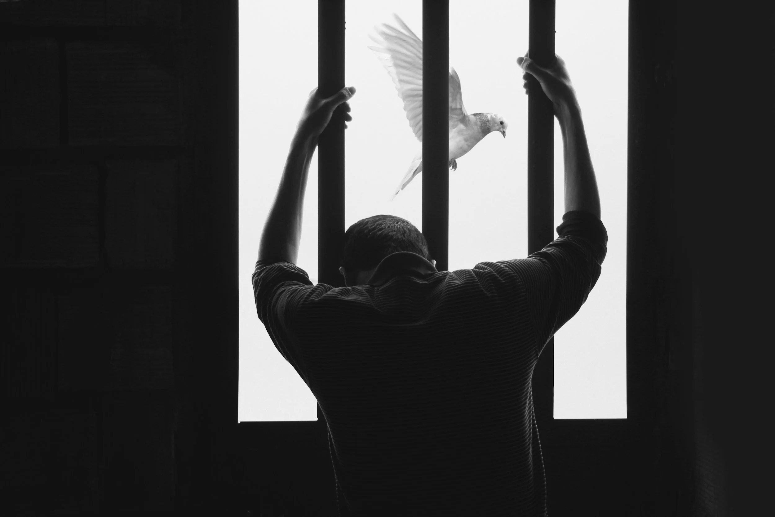 Breaking Free from Secrecy: Why Transparency Is Essential to Healing