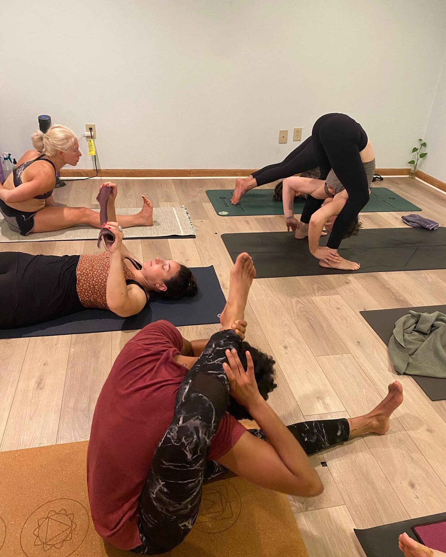 Impressed and Inspired by these ladies every single practice!! We support and embrace one another, and I am so honored to share their individual paths!
#ashtangamysore #yogateacher #practice #bekindtoyou #roadkillyoga #patience #devotion #regularity 