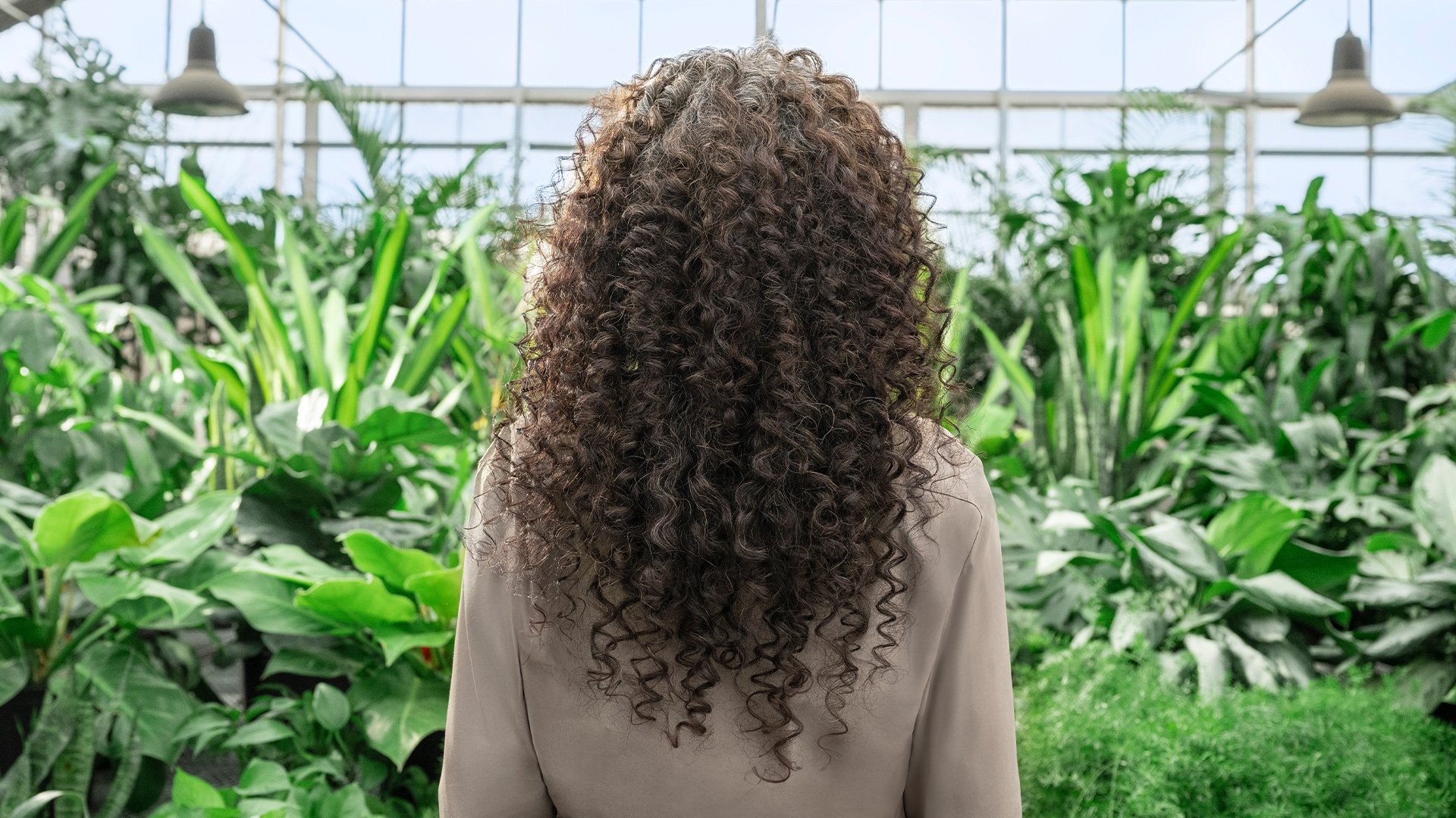 Verb_Density_Campaign_GreenHouse_Single_707_16x9.jpg