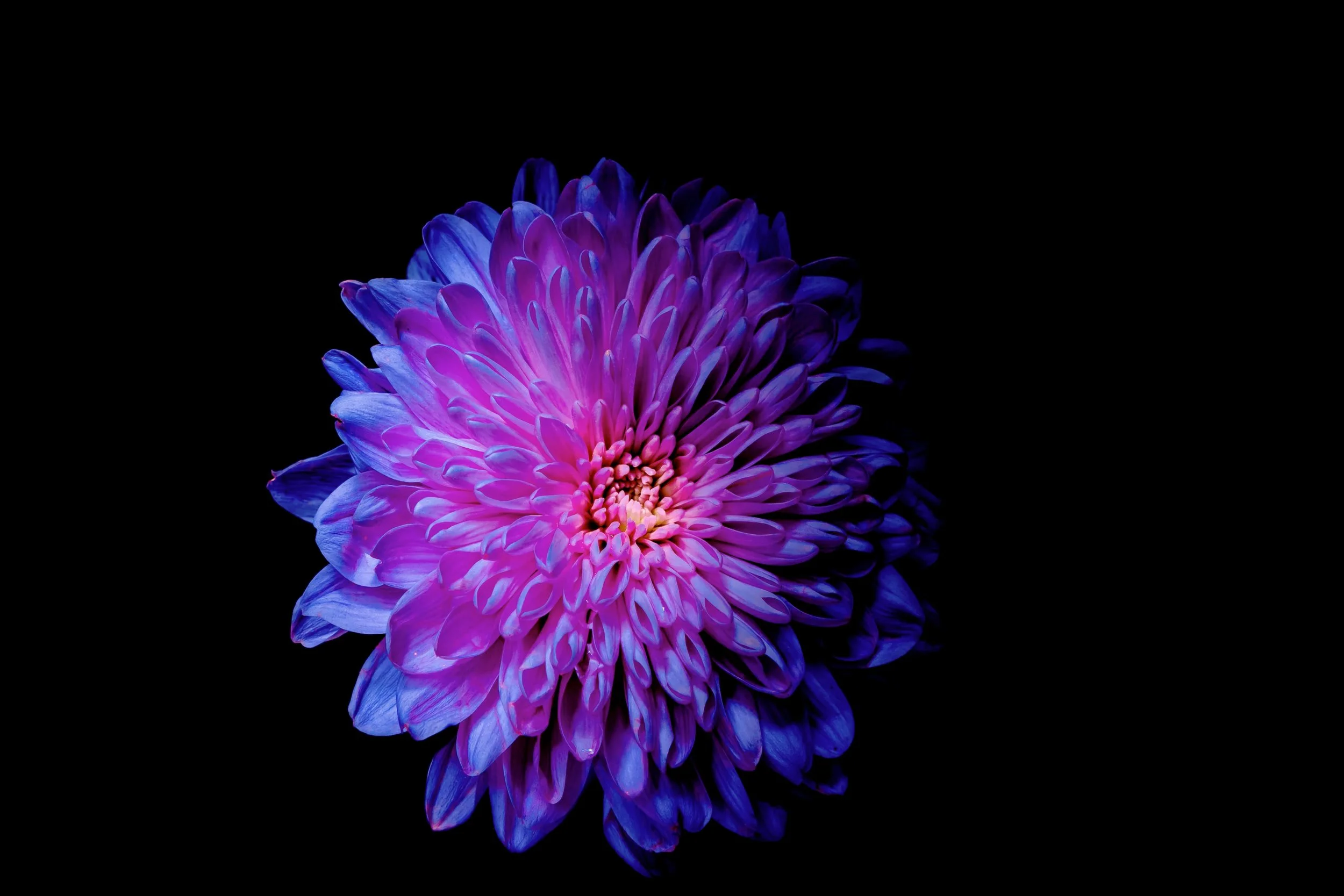 Grammar Police, You’re Under Arrest!