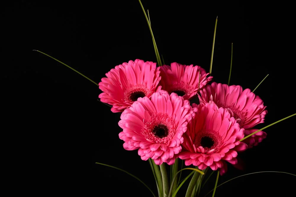 Do You Need an Editor?