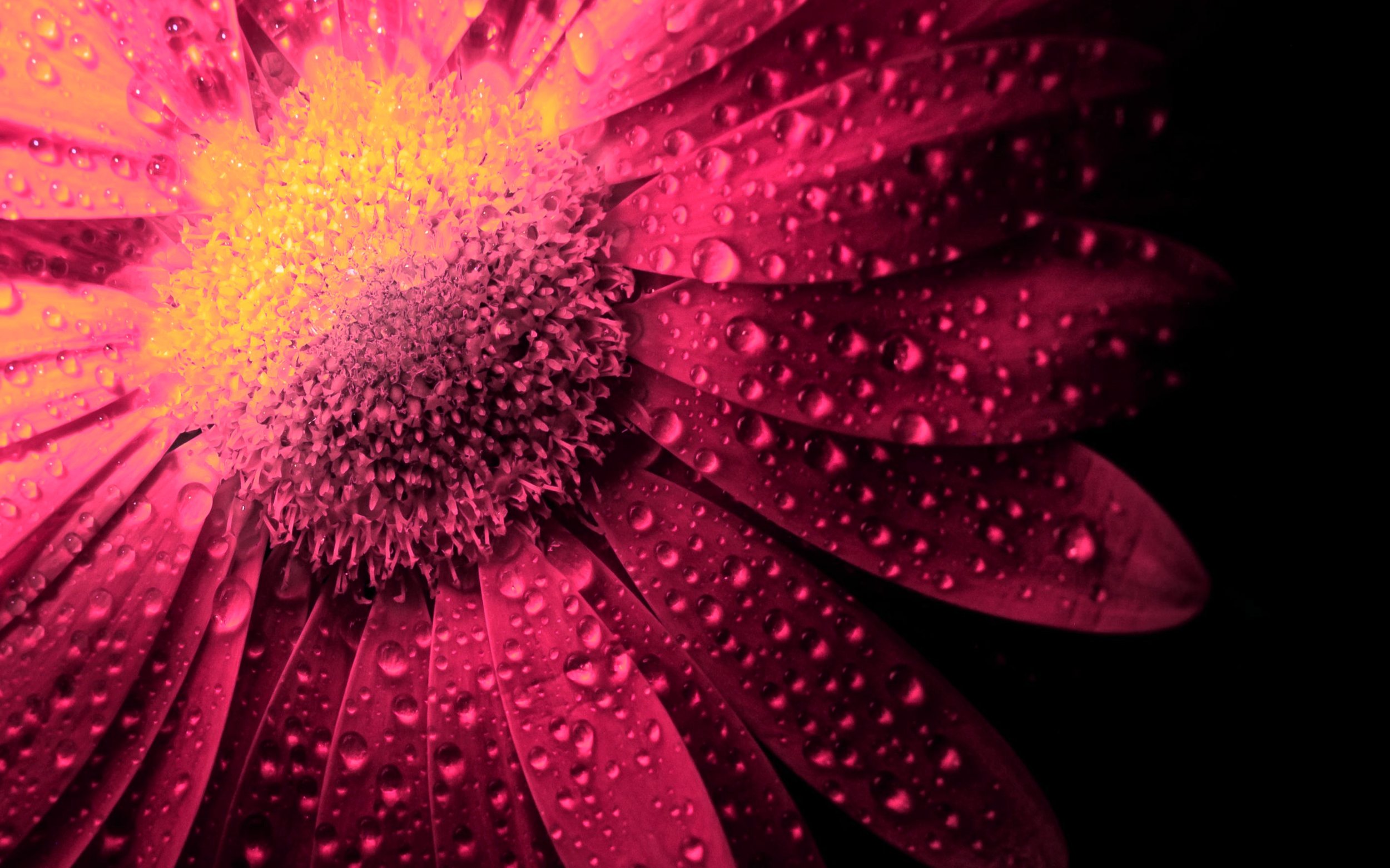 Editorials: Writing for Change