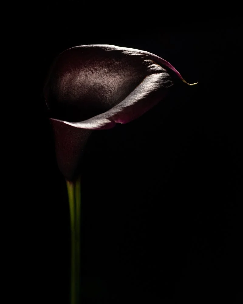 Happy Holidays... Let's Talk About Suicide