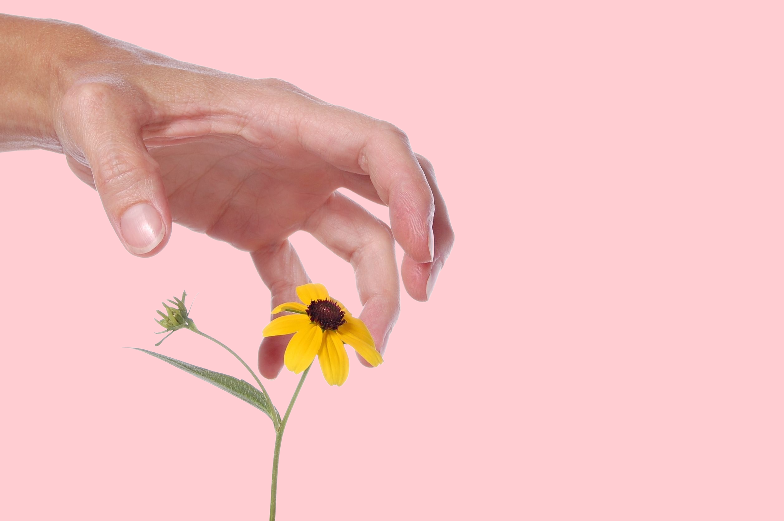 What to Do if Someone Steals Your Writing?