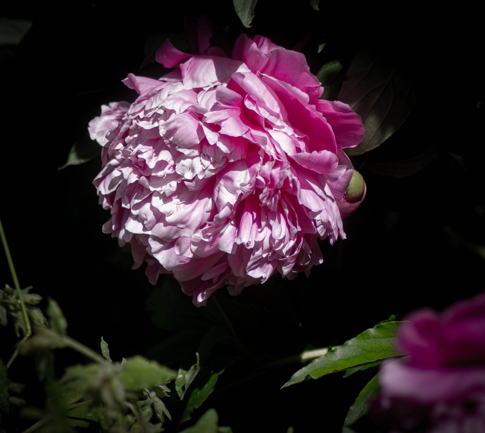 How to Write About (and Work Through) the Most Hidden Emotion—Humiliation