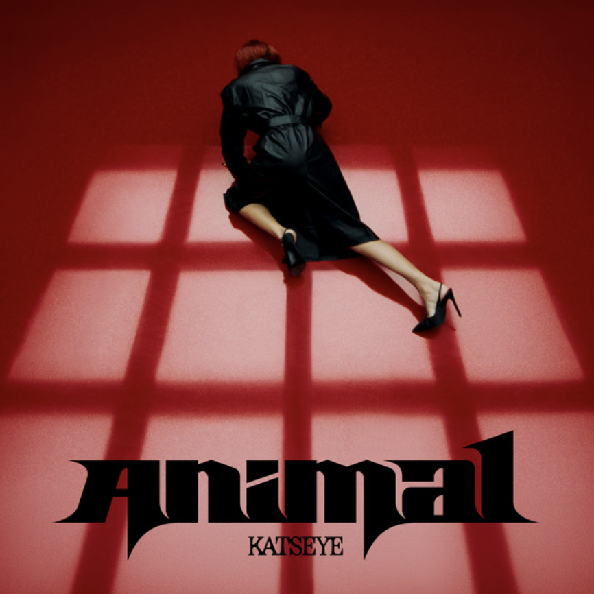 Regular K-pop Dance: KATSEYE "Animal🐾" (1 hr/All Ages &amp; Open Levels)