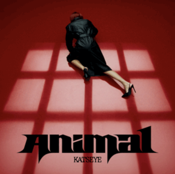 Regular K-pop Dance: KATSEYE “Animal” (1 hr/Ages 18+ &amp; Open Levels)