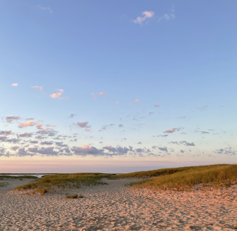 A sandy beach with dunes covered in grass under a partly cloudy sky, and a calm body of water in the distance.