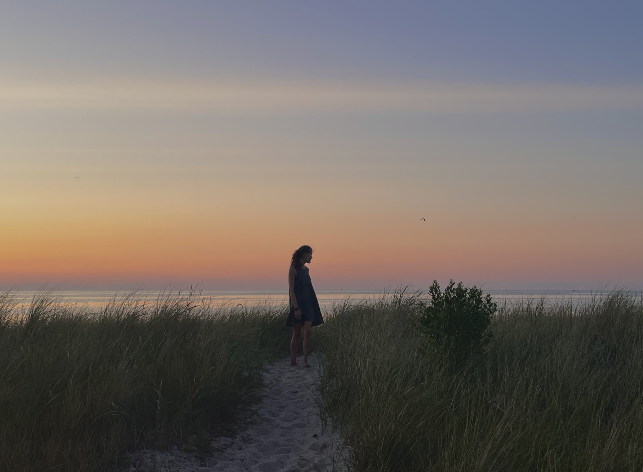 A girl standing on a sandy path in tall grass near the beach at sunset, with a colorful sky and a bird flying in the distance.