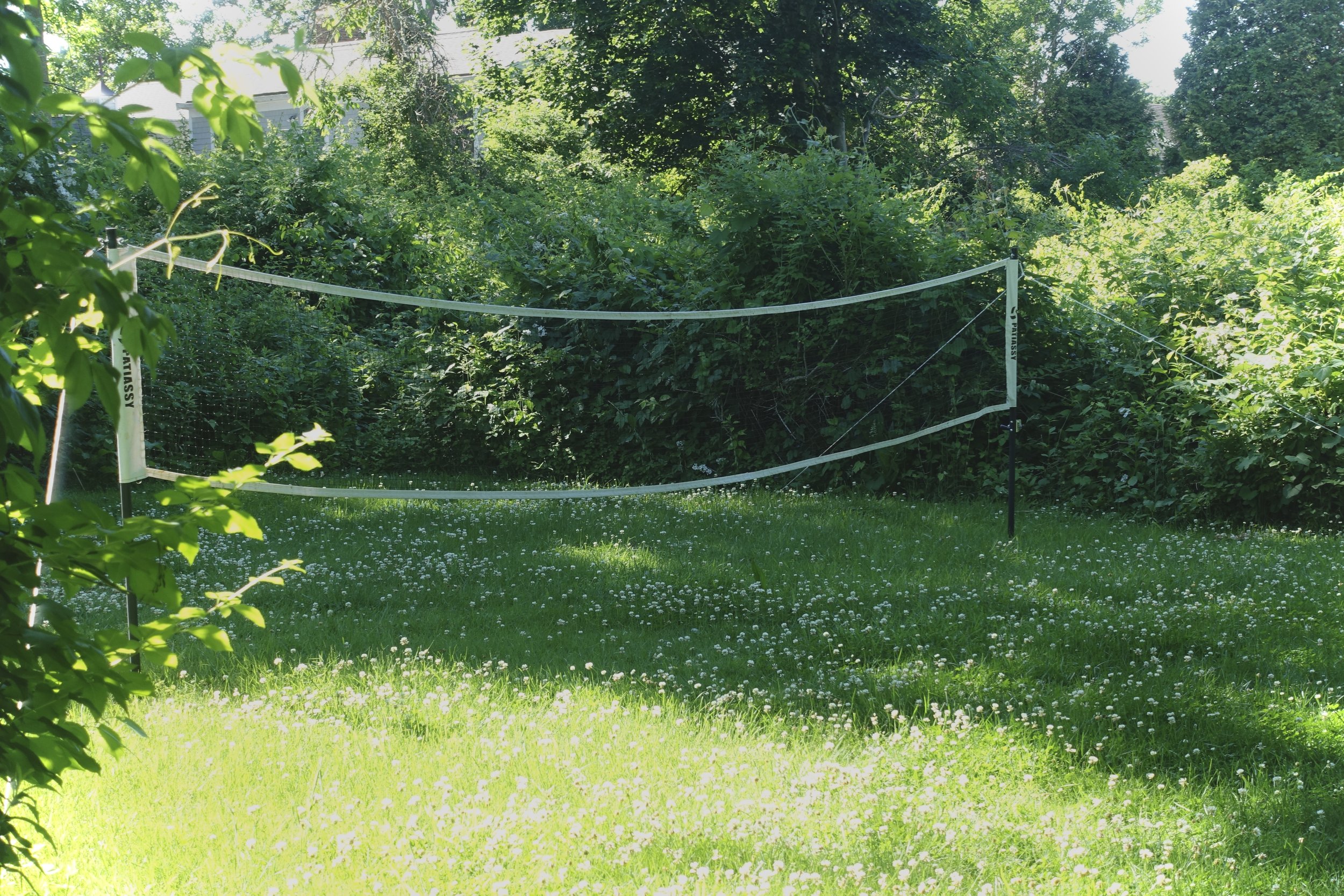 Green backyard lawn with small white flowers, surrounded by dense green bushes and trees, with a white tennis net in the middle.
