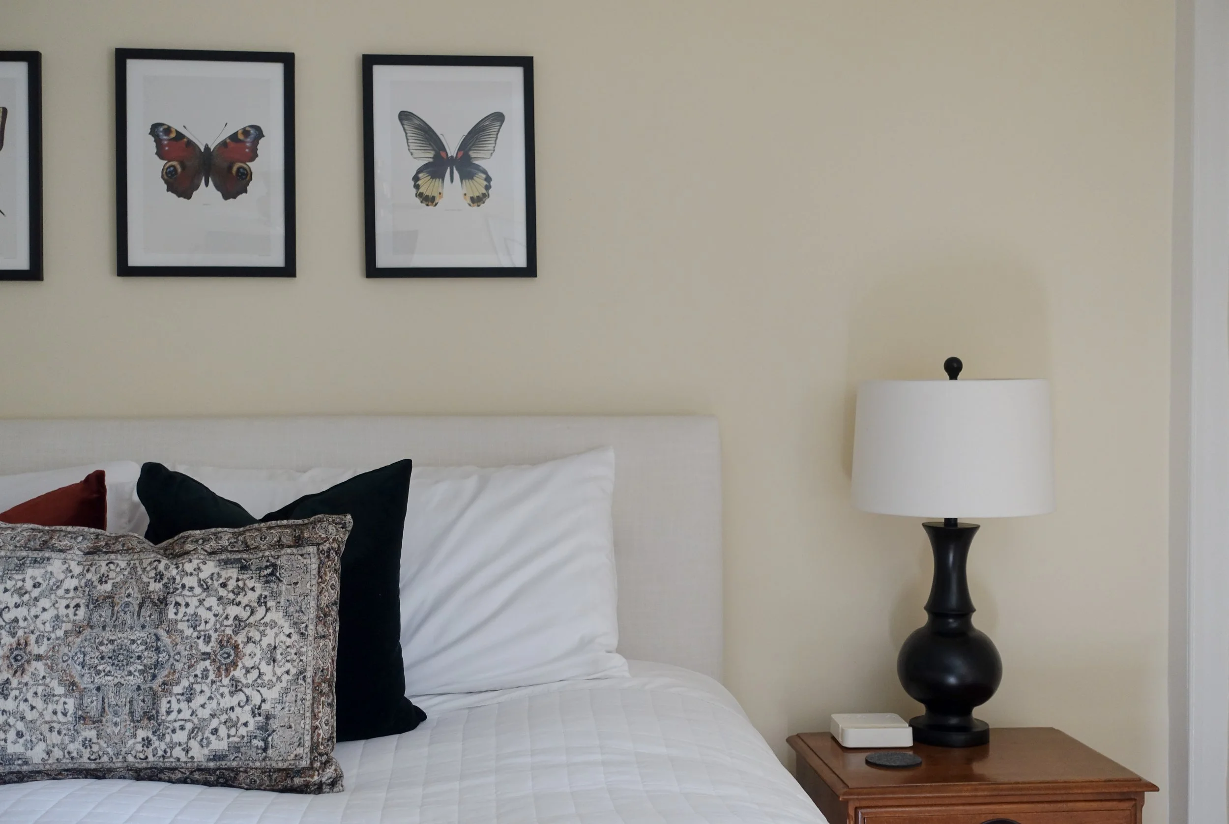 A bedroom with a bed, decorative pillows, a lamp on a wooden nightstand, and framed butterfly pictures on the wall.