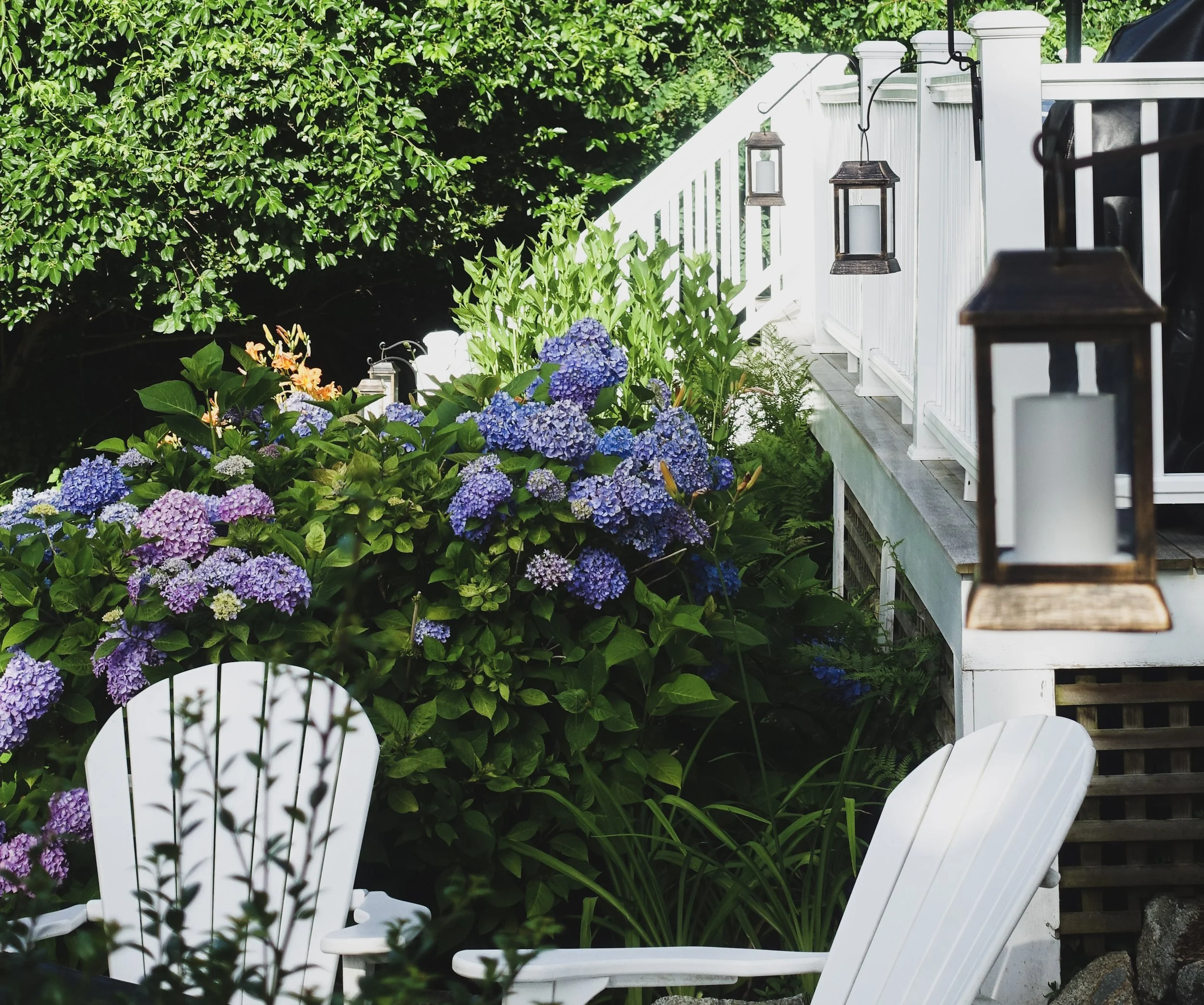 View of a garden with purple and blue hydrangea flowers, surrounded by green foliage, and a white porch with hanging lanterns, white Adirondack chairs, and outdoor candles.