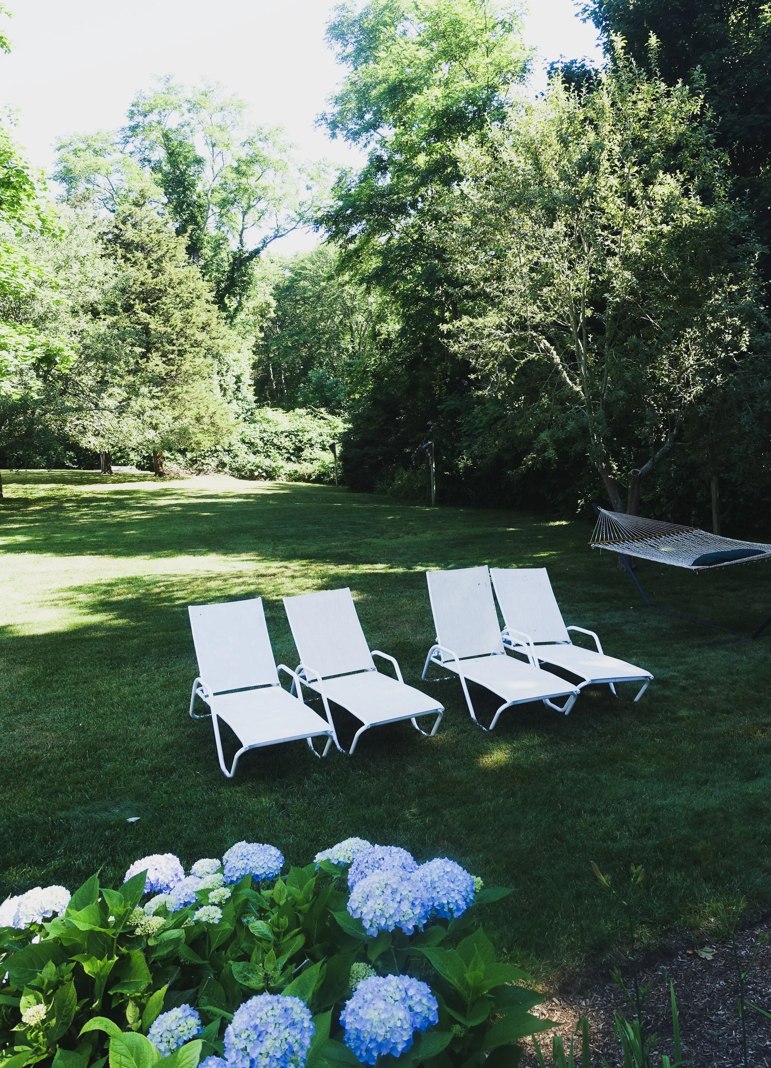Four white lounge chairs on a grassy lawn with trees in the background and blue hydrangea flowers in the foreground.