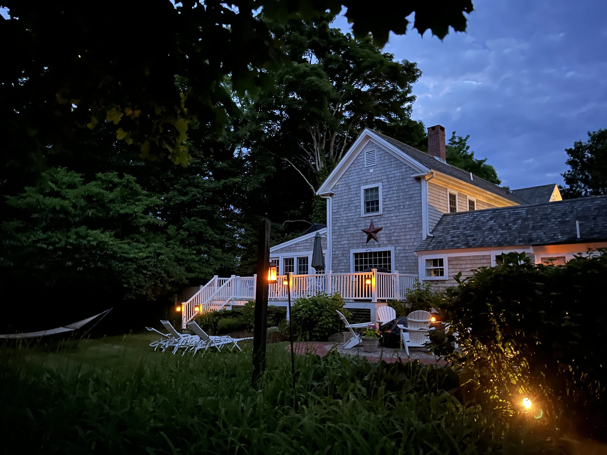 Garden in evening.JPG