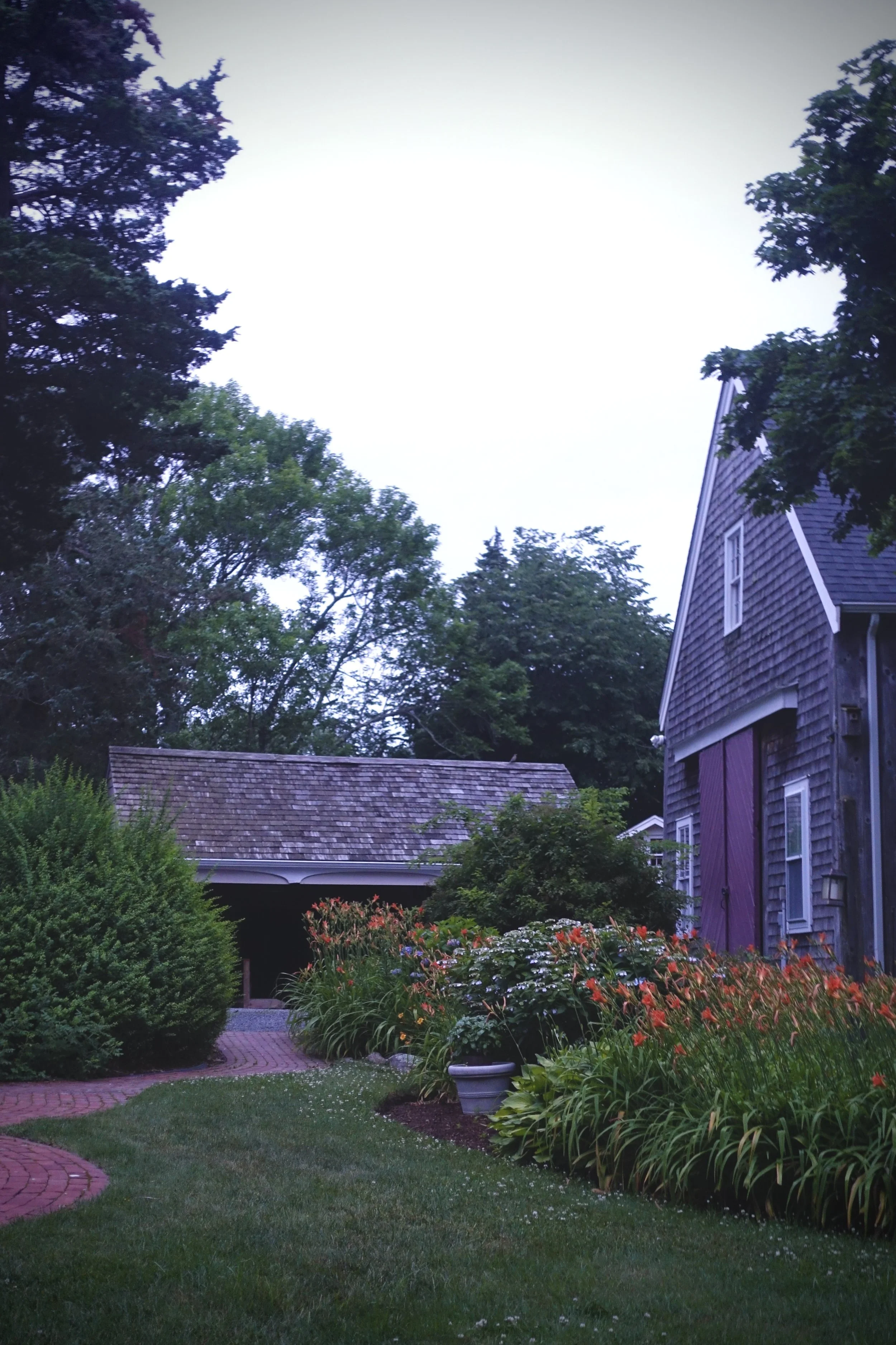 A backyard garden with a brick pathway, lush green bushes, colorful flowers, a gray house with purple shutters, and tall trees against a bright sky.