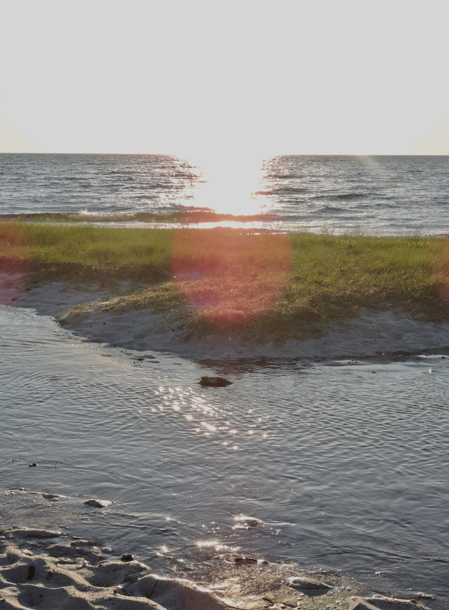 Sunset over the ocean with grassy shoreline, sandy beach, and reflections on water.