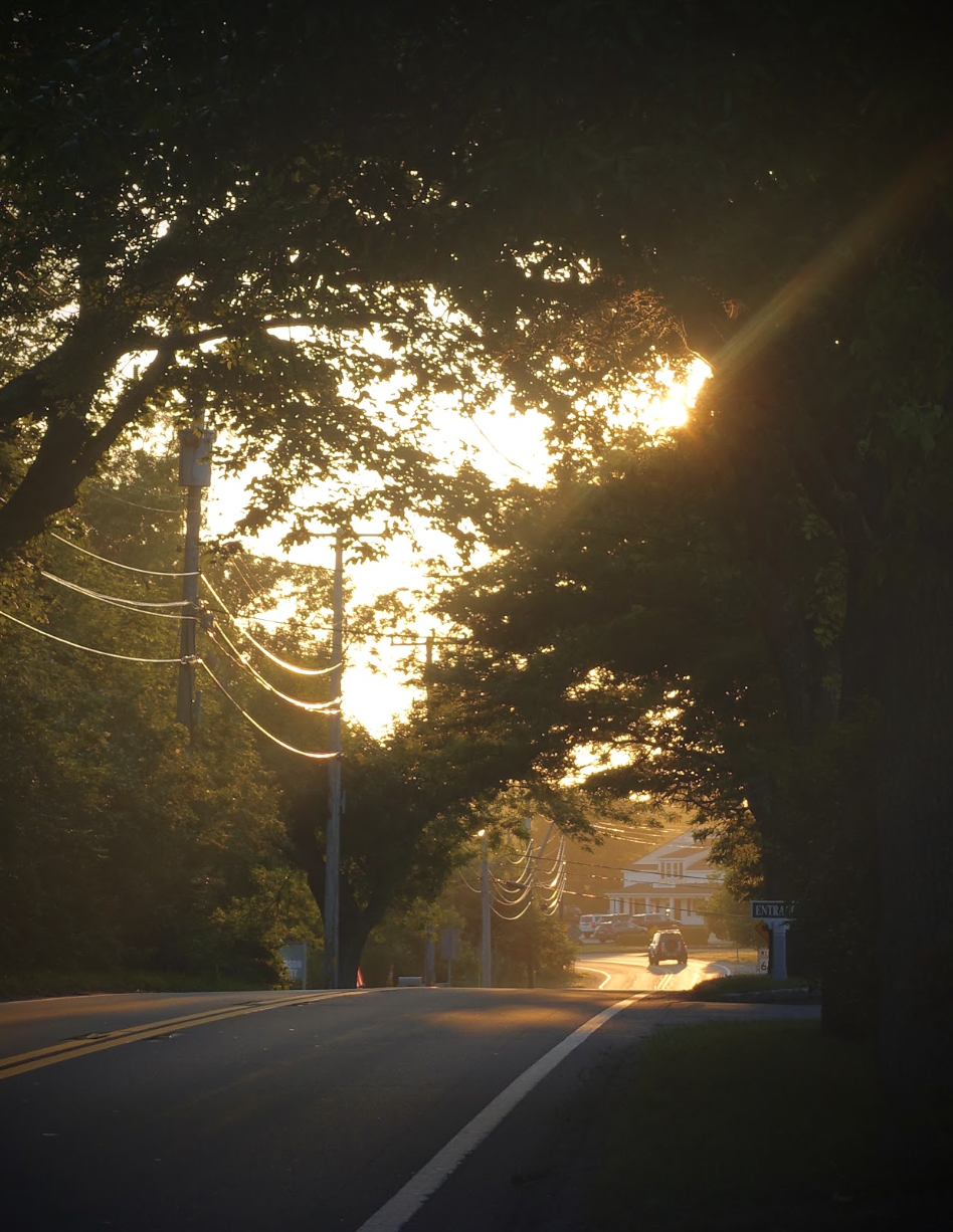 Sunset over a rural road lined with trees and utility poles, with cars parked near buildings in the distance.
