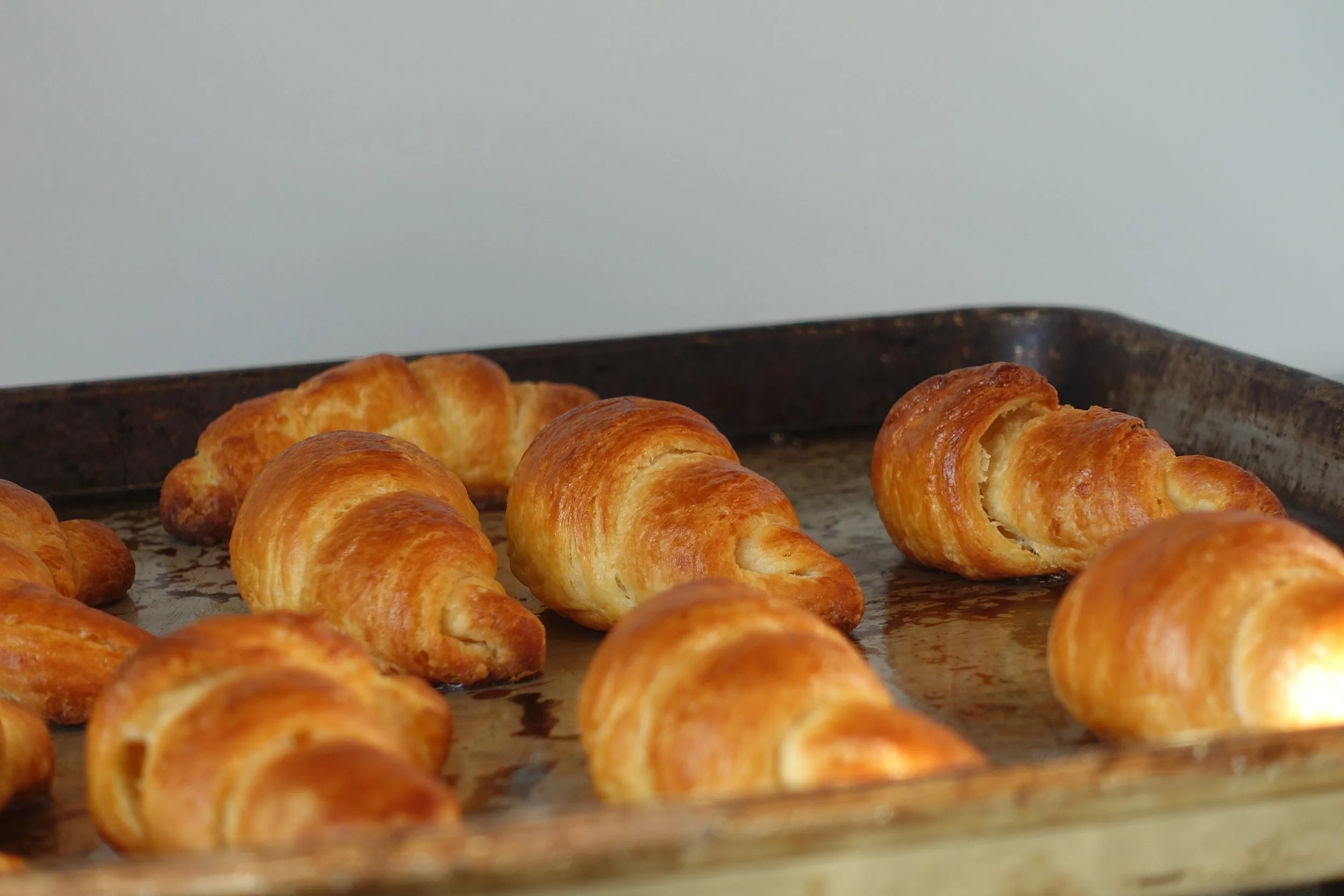 Freshly baked croissants on a baking sheet