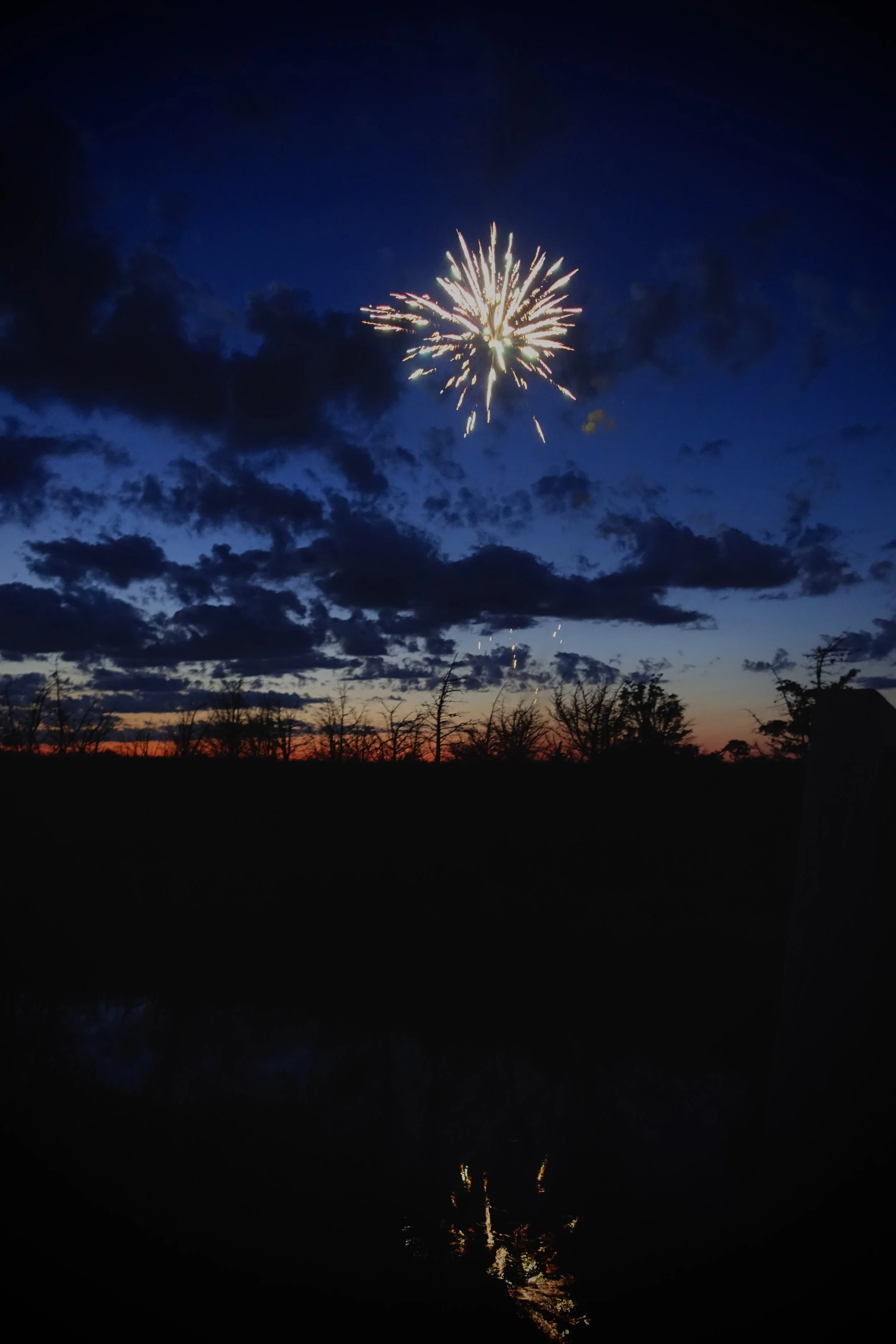 Fireworks bursting in the night sky above silhouetted trees on the horizon with blue and orange hues, and their reflection seen in the dark water below.