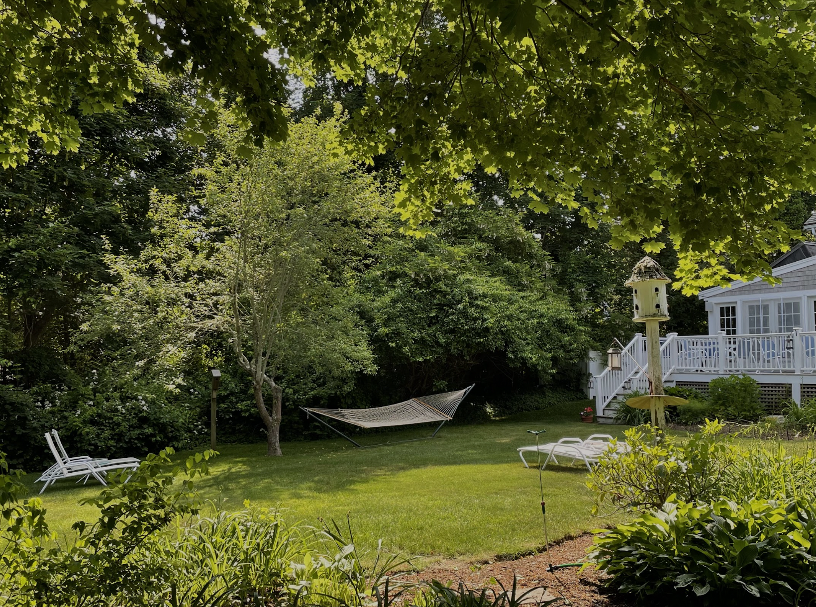 Backyard scene with trees, a hammock, a birdhouse on a pole, a white deck with stairs, and several lounge chairs on a grassy lawn.