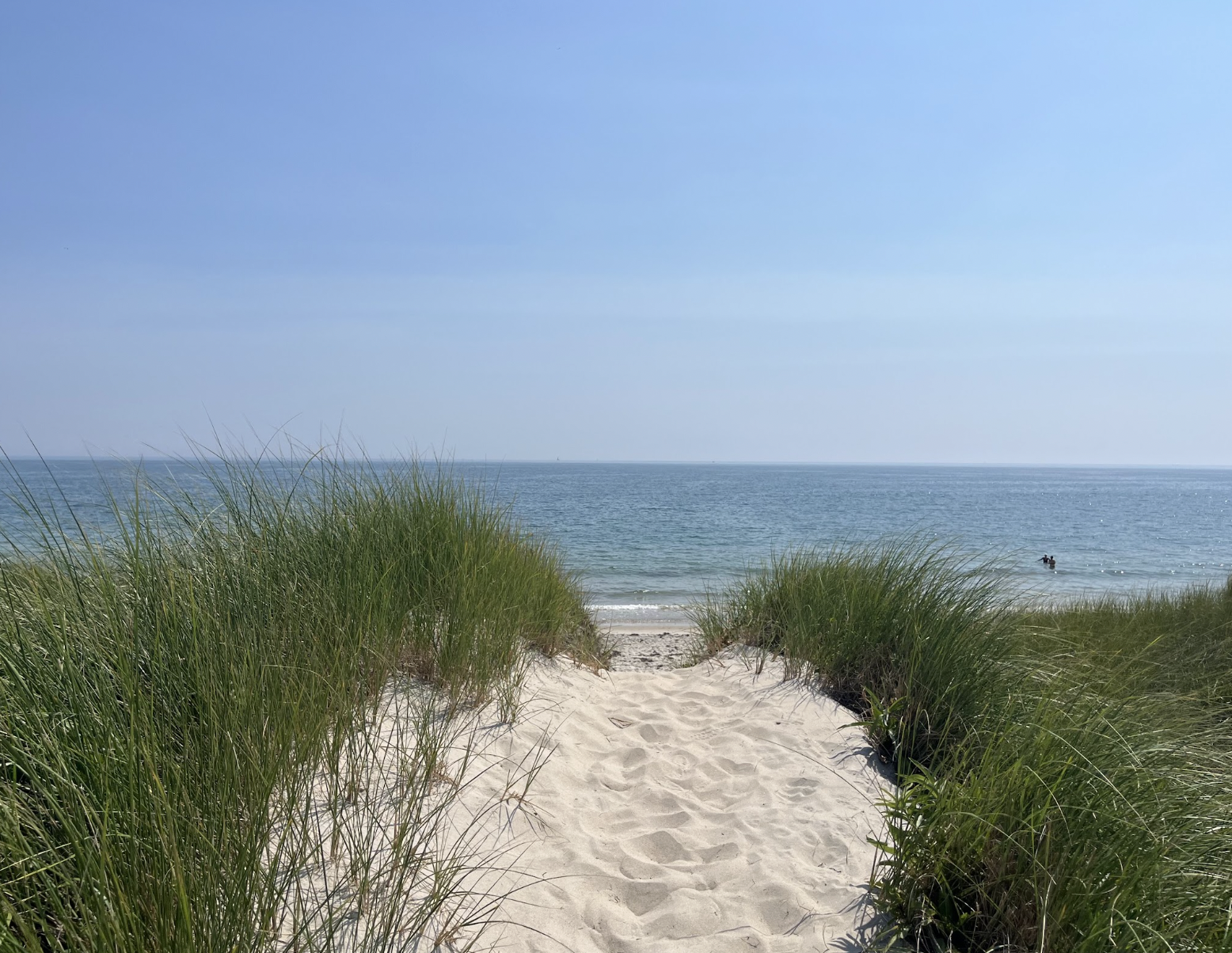 Sand pathway flanked by tall green grass leading to a beach with calm ocean and a clear blue sky, with two people in the water.