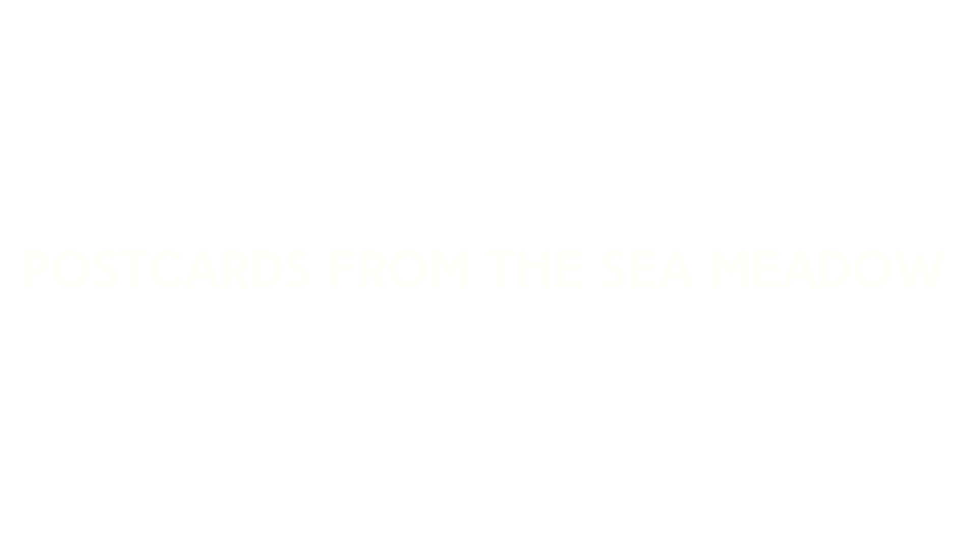 Black poster with white text reading "Postcards from the Sea Meadow".