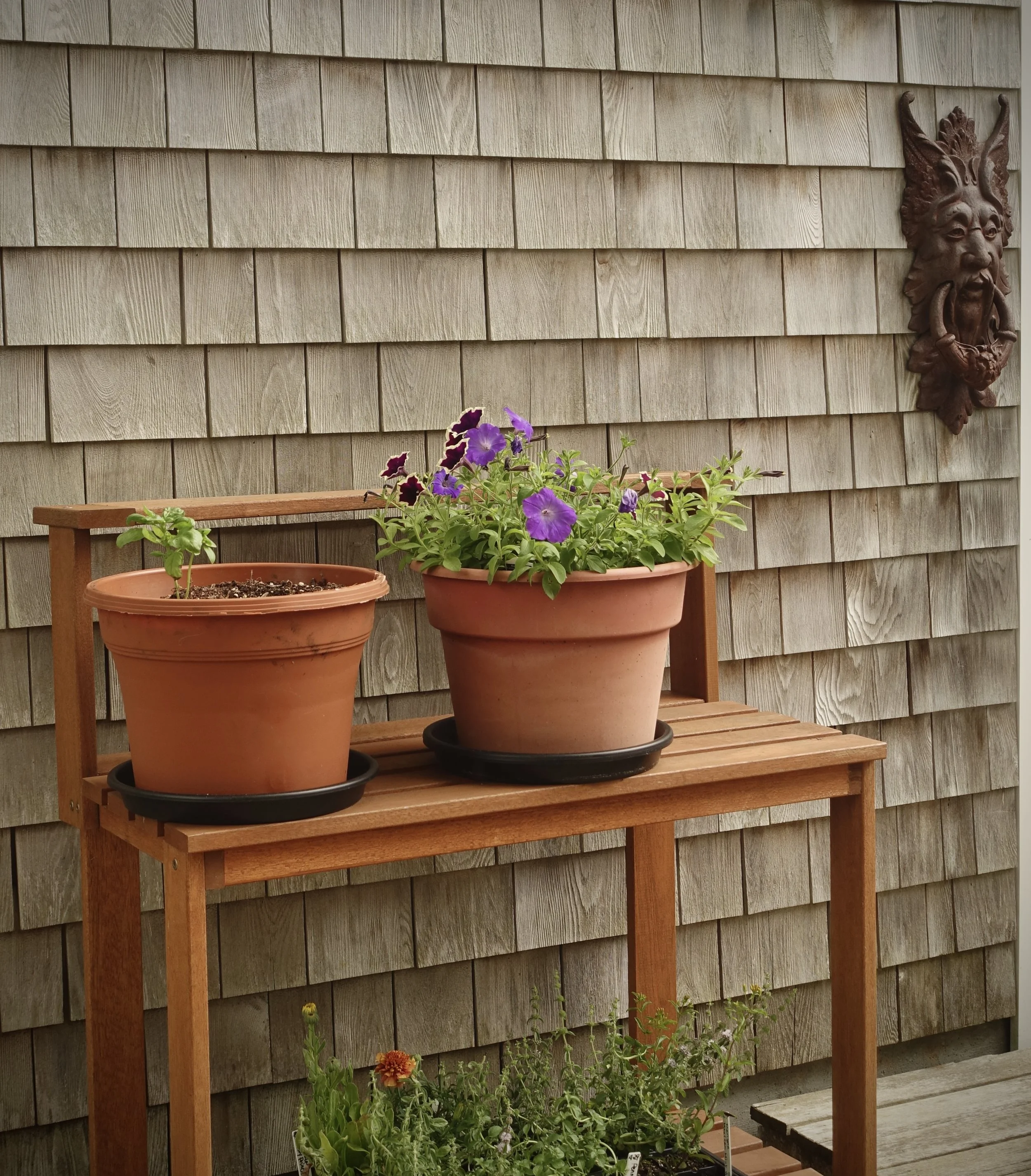 Wooden outdoor wall with a decorative wooden face mask on the right side. Two large terracotta flower pots with flowering plants are on a wooden stand below the wall, with purple and orange flowers. Small green plants are at the bottom of the image.