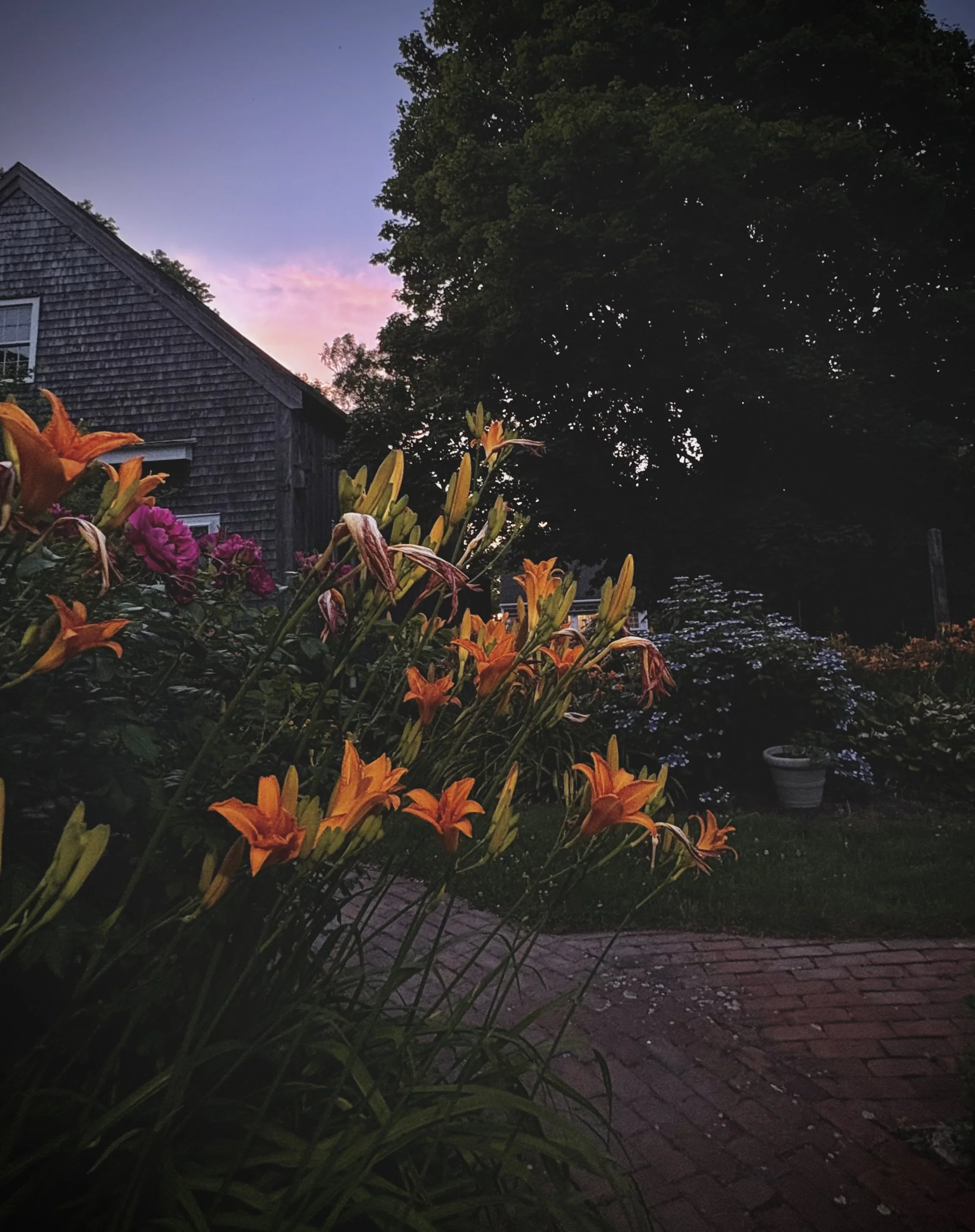 A garden scene at dusk with blooming orange and pink lilies in the foreground, a wooden house with a shingled roof on the left, and a large leafy tree to the right against a sky transitioning from purple to pink.