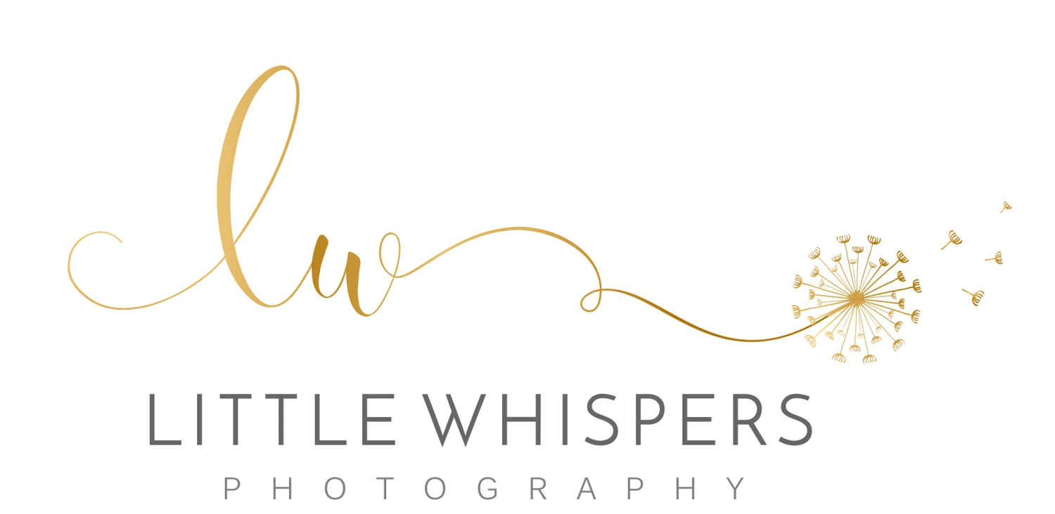 Edinburgh Newborn Photographer | Little Whispers Photography