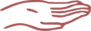 Asset 11@3x.png