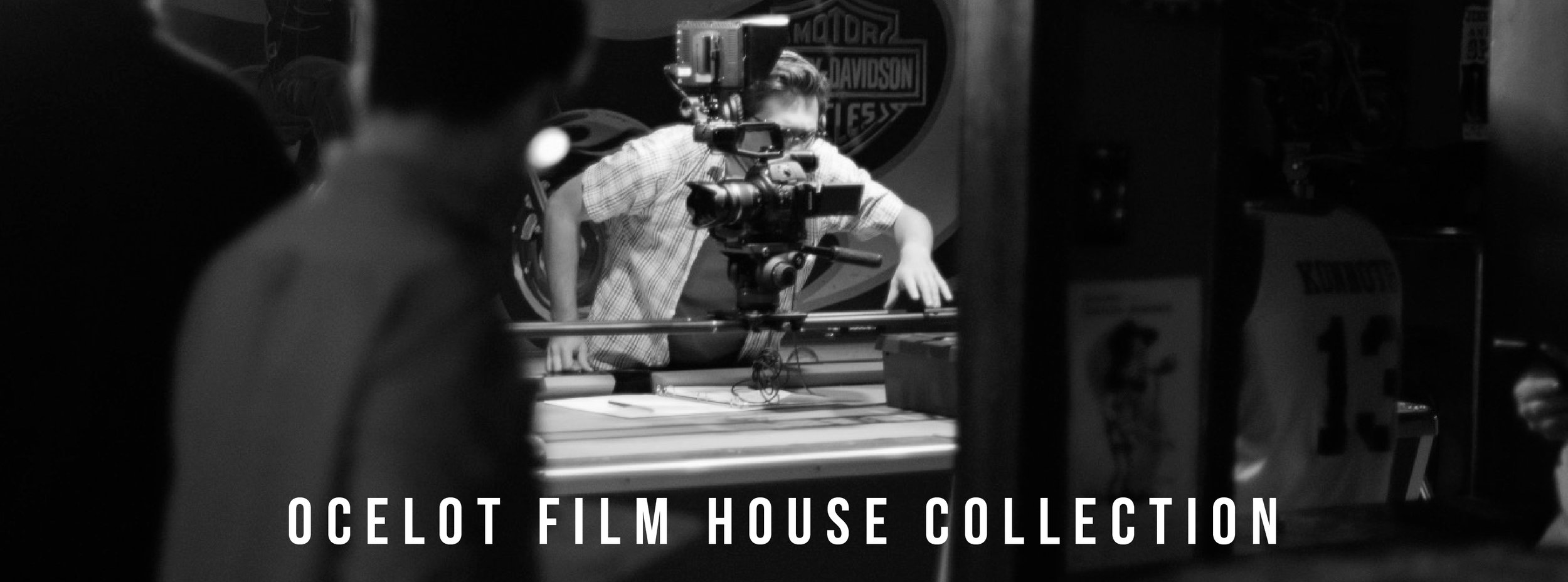 Collection Banner.jpg