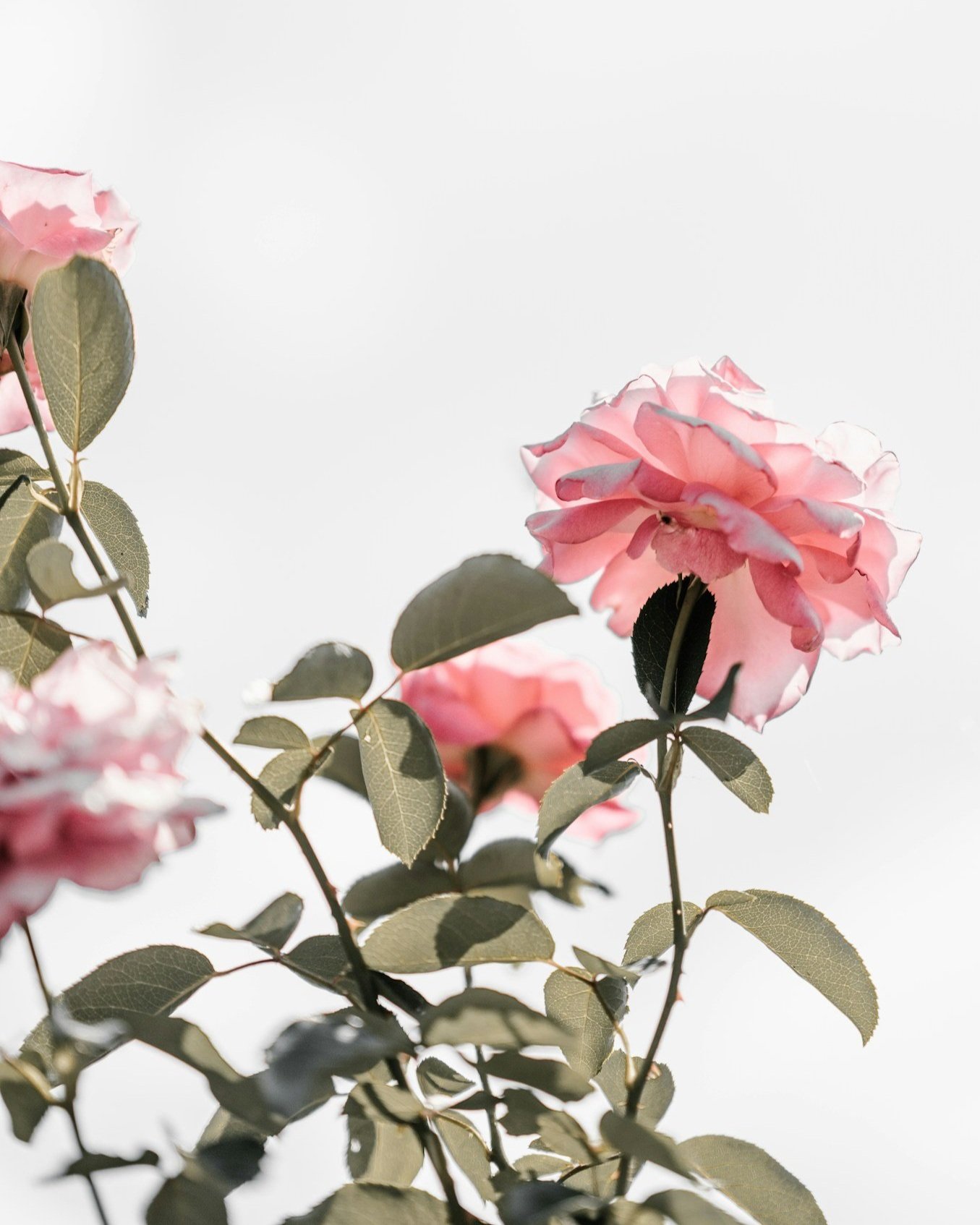Mastering Reappraisal Skills: Transforming Your Perspective for a Better Life