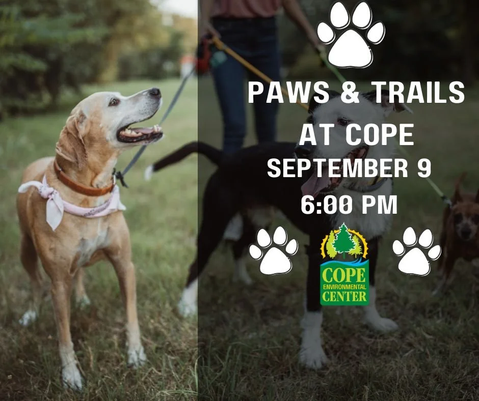 Paws & Trails