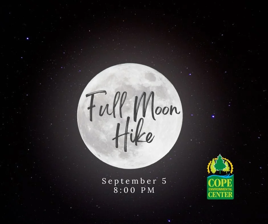 Full Moon Hike: Harvest Moon