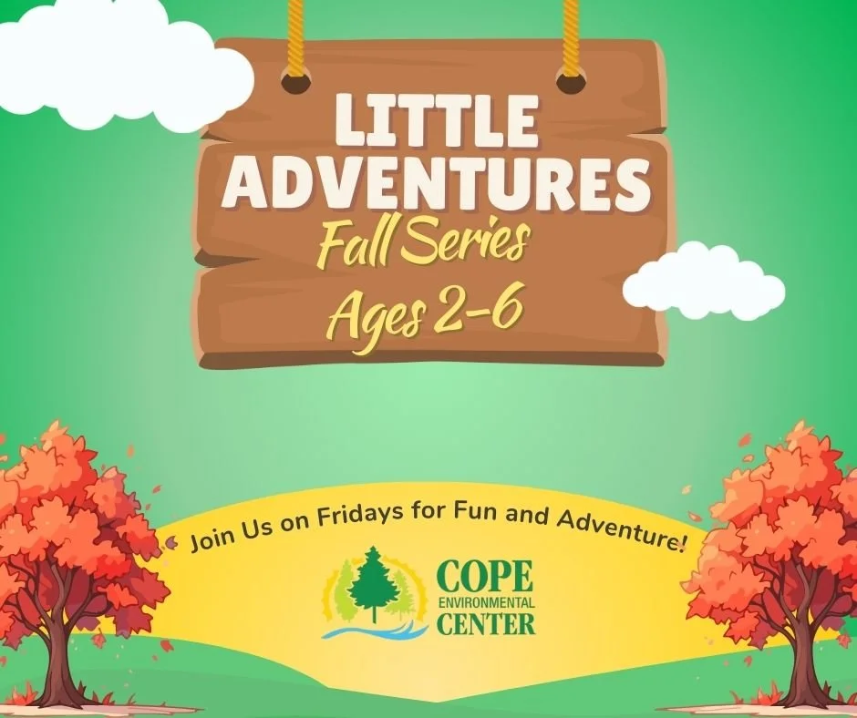 Little Adventures Fall Series