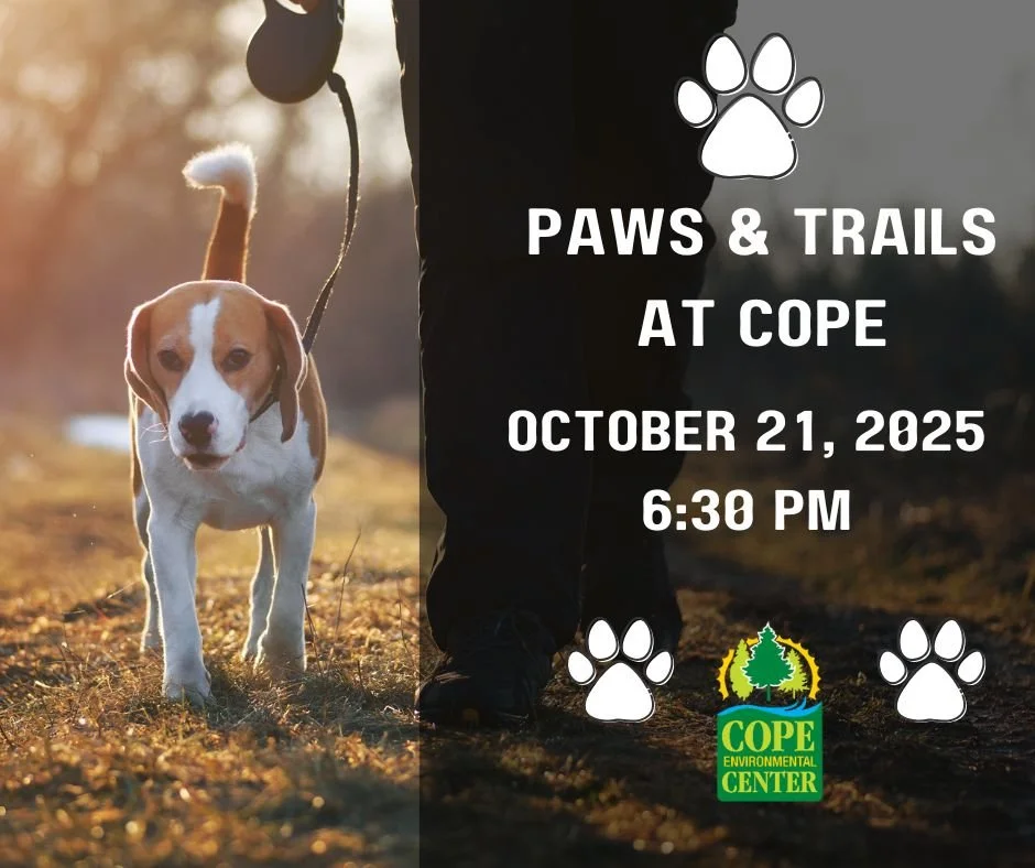 Paws & Trails