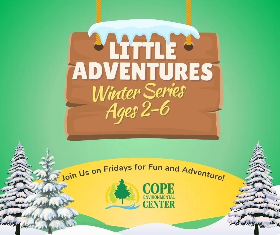 Little Adventures Winter Series
