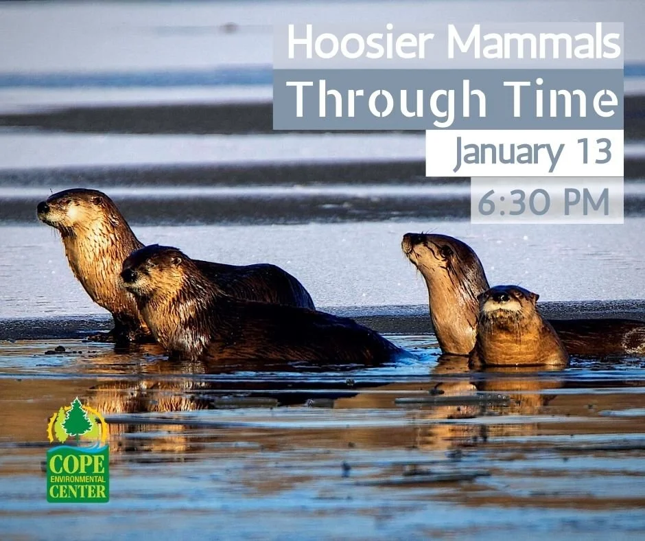 Hoosier Mammals Through Time