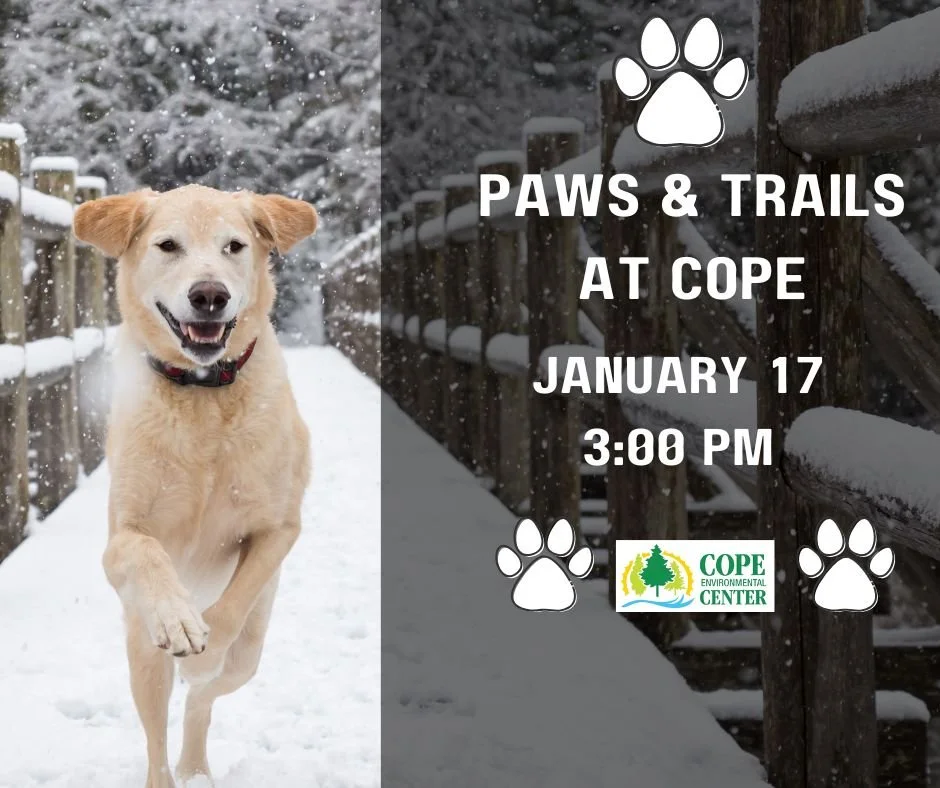 Paws & Trails