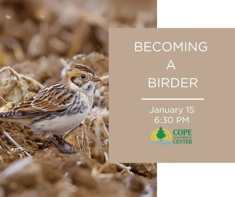Becoming A Birder