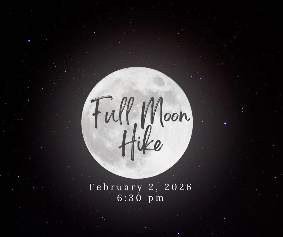 Full Moon Hike