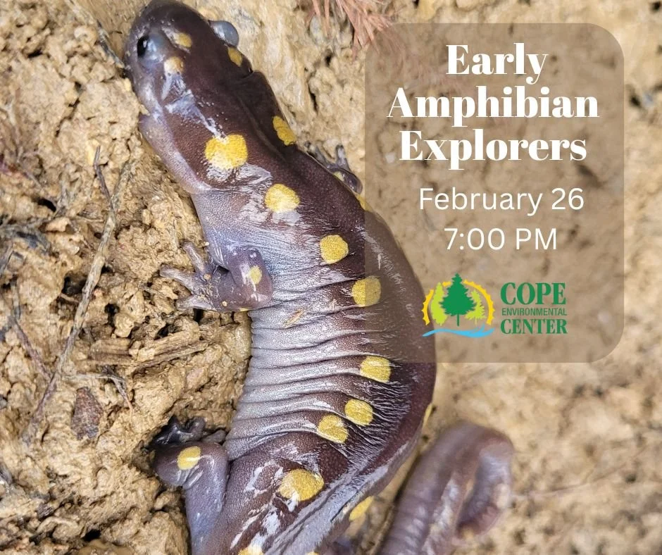 Early Amphibian Explorers