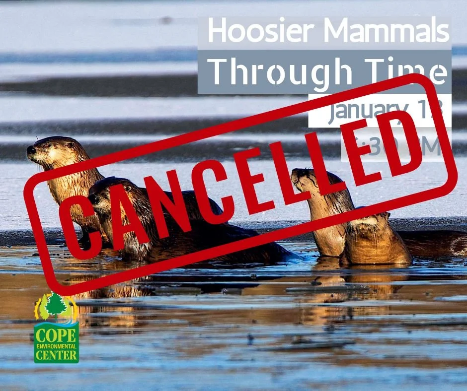 Hoosier Mammals Through Time