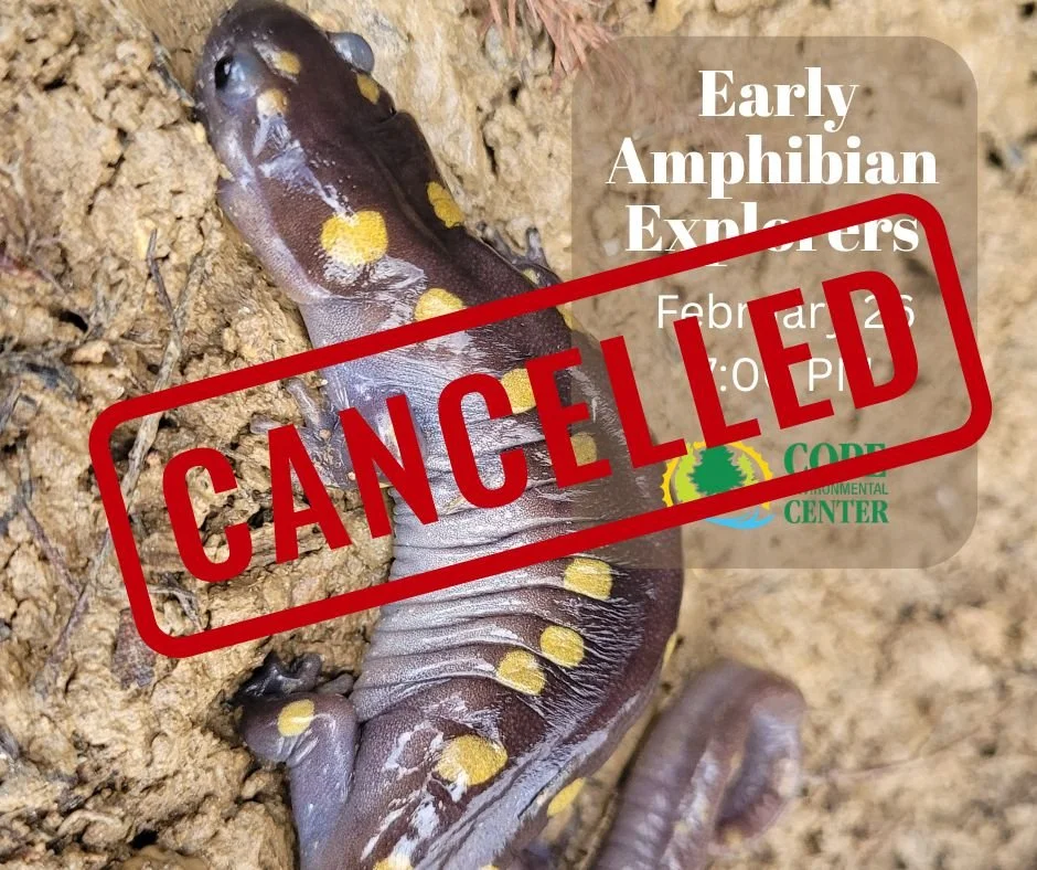 Early Amphibian Explorers