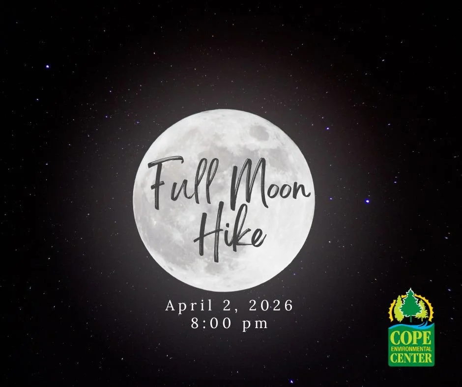 Full Moon Hike:  Pink Moon